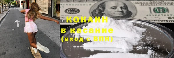 хмурый Аркадак