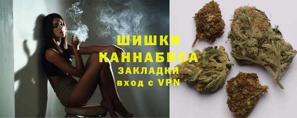 хмурый Аркадак