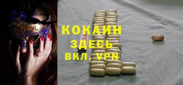 хмурый Аркадак