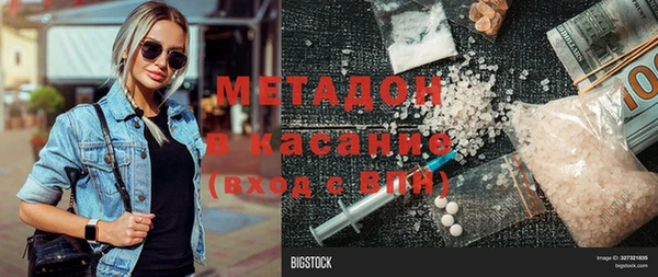 хмурый Аркадак