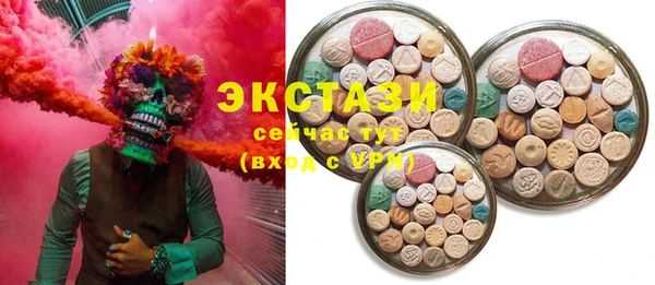 хмурый Аркадак