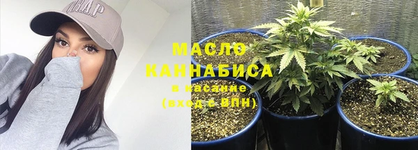 сатива Баксан