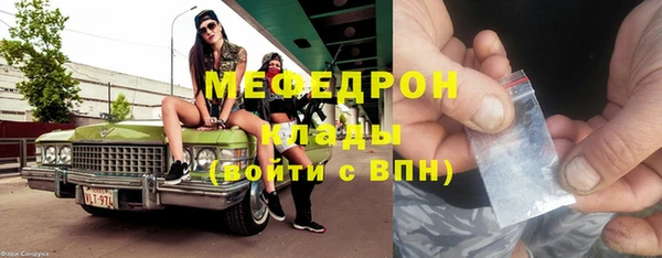 хмурый Аркадак